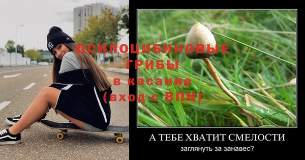 спайс Арсеньев